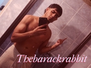Thebarackrabbit