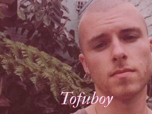 Tofu_boy