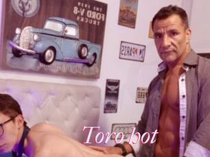 Toro_hot