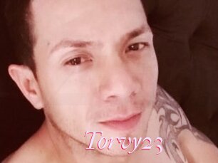 Torvy23