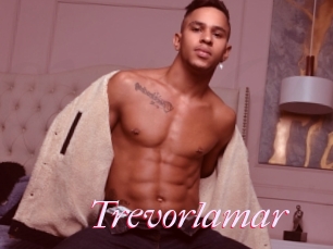 Trevorlamar