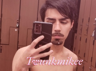 Twunkmikee