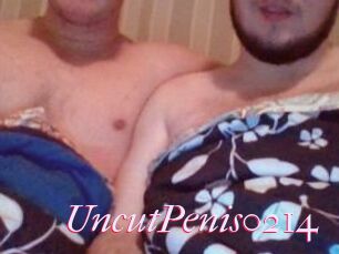 UncutPenis0214