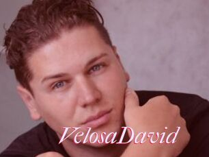 VelosaDavid