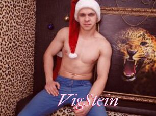 VigStein