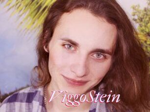 ViggoStein