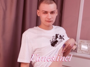 Vaneslinel