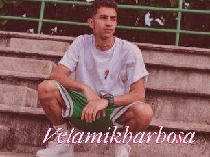 Velamikbarbosa