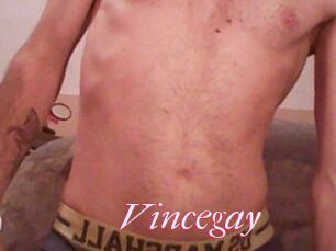 Vincegay