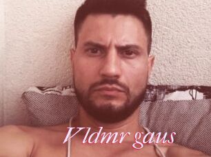 Vldmr_gaus