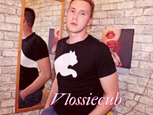 Vlossiecub