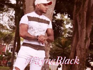 WayneBlack