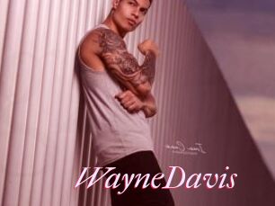 WayneDavis