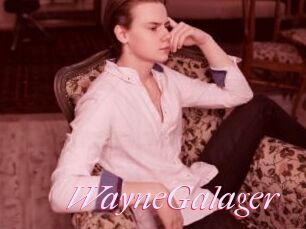 WayneGalager