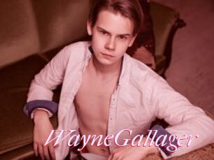 WayneGallager