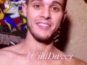 WildDavey