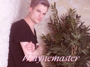 Waynemaster