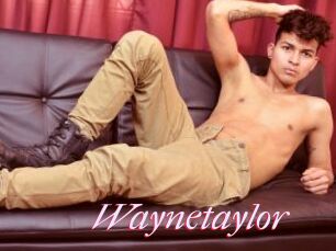 Waynetaylor