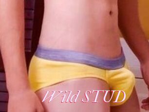 Wild_STUD