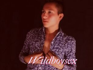 Wildboysex