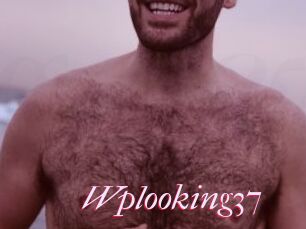Wplooking37