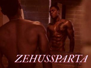 ZEHUS_SPARTA