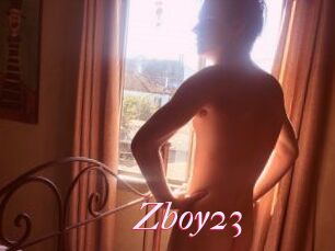 Zboy23