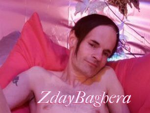 ZdayBaghera