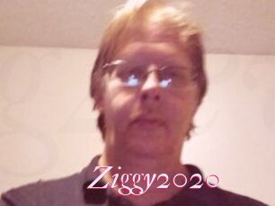 Ziggy2020