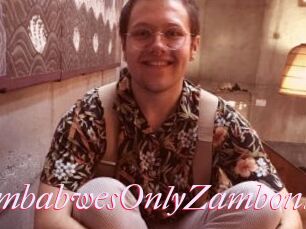 ZimbabwesOnlyZamboni
