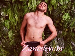 Zanedeyum