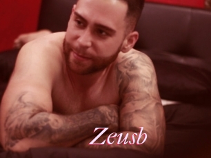 Zeusb
