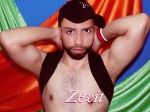 Zevit